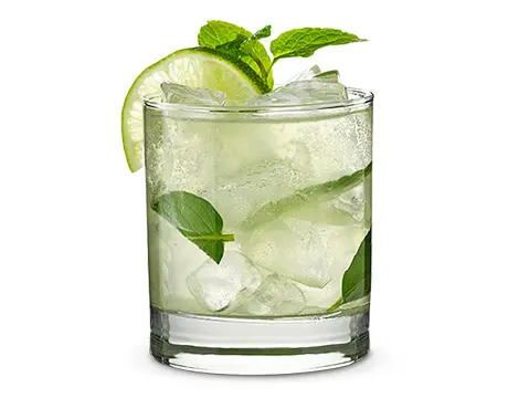 Mojito Cocktail